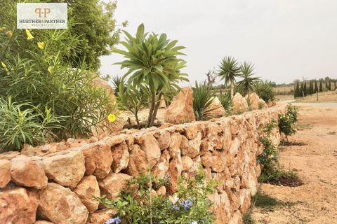 Landejendom i Llucmajor, Mallorca, Llucmajor - € 2.200.000 | Ref: 25-146 - foto 32
