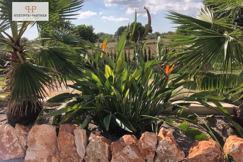 Landejendom i Llucmajor, Mallorca, Llucmajor - € 2.200.000 | Ref: 25-146 - foto 35