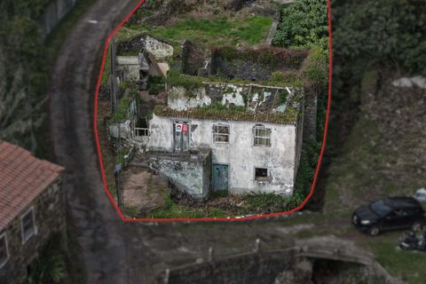 Terra a Horta, Faial, Horta - € 27.000 | Ref: 374250175 - foto 4