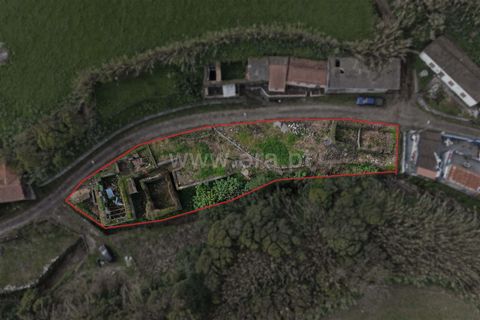 Terra a Horta, Faial, Horta - € 27.000 | Ref: 374250175 - foto 5