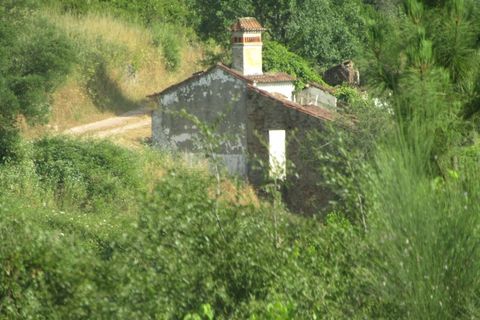 Landejendom i Carvalhal, Santarem, Carvalhal - € 59.000 | Ref: P25-223 - foto 1