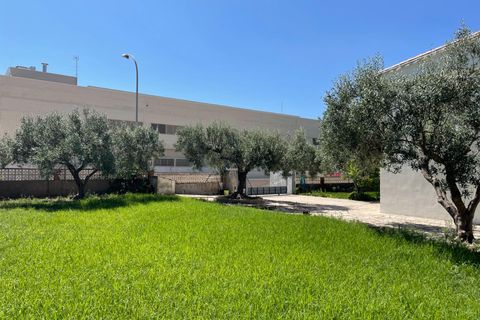 Villa i Vinaros, Castellon, Vinaros - € 399.000 | Ref: EXP10613/8930 - foto 3