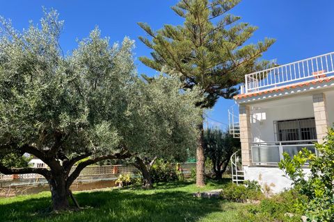 Villa i Vinaros, Castellon, Vinaros - € 399.000 | Ref: EXP10613/8930 - foto 4