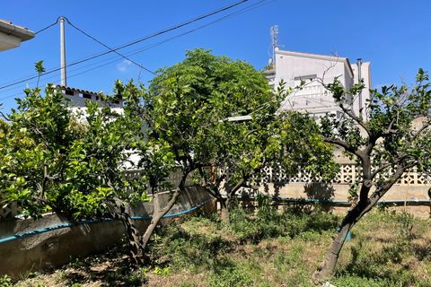 Villa i Vinaros, Castellon, Vinaros - € 399.000 | Ref: EXP10613/8930 - foto 5