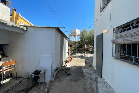 Villa i Vinaros, Castellon, Vinaros - € 399.000 | Ref: EXP10613/8930 - foto 47