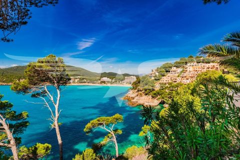 Lejlighed i Capdepera, Mallorca, Capdepera - € 480.000 | Ref: 4033 - foto 27