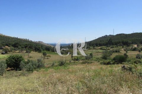 Byhus i Penela, Coimbra, Penela - € 500.000 | Ref: CR0708 - foto 3