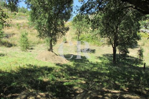 Byhus i Penela, Coimbra, Penela - € 500.000 | Ref: CR0708 - foto 36