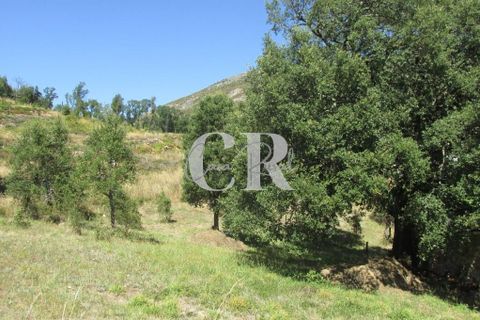 Byhus i Penela, Coimbra, Penela - € 500.000 | Ref: CR0708 - foto 37