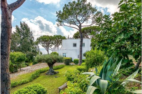 Villa a Ischia, Naples, Ischia - € 2.650.000 | Ref: AV213 - foto 15