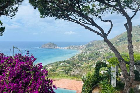 Villa a Ischia, Naples, Ischia - € 2.650.000 | Ref: AV213 - foto 40