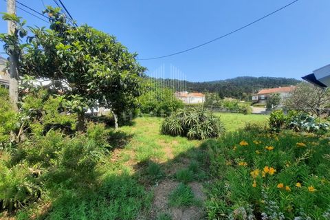 Villa i Areosa, Viana do Castelo, Areosa - € 750.000 | Ref: EM400 - foto 2
