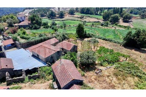 Villa i Penafiel, Porto, Penafiel - € 110.000 | Ref: HT_50157 - foto 14