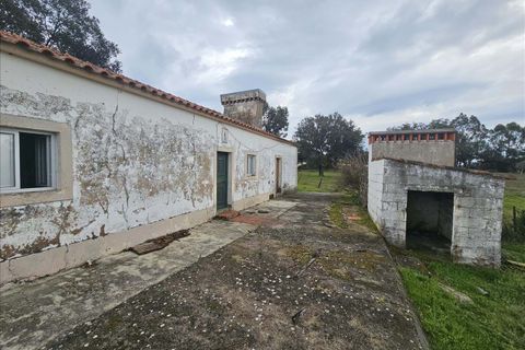 Villa a Portalegre, Portalegre, Portalegre - € 48.000 | Ref: C0284-00848 - foto 2