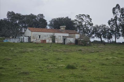 Villa a Portalegre, Portalegre, Portalegre - € 48.000 | Ref: C0284-00848 - foto 13