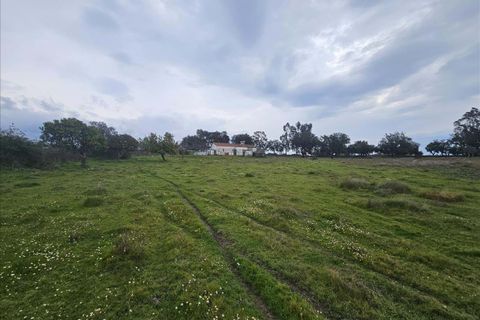 Villa a Portalegre, Portalegre, Portalegre - € 48.000 | Ref: C0284-00848 - foto 14