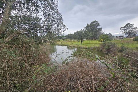 Villa a Portalegre, Portalegre, Portalegre - € 48.000 | Ref: C0284-00848 - foto 18