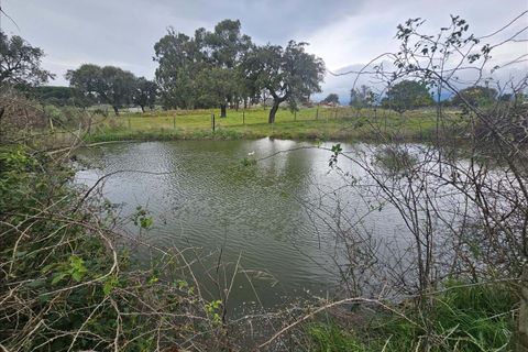 Villa a Portalegre, Portalegre, Portalegre - € 48.000 | Ref: C0284-00848 - foto 19