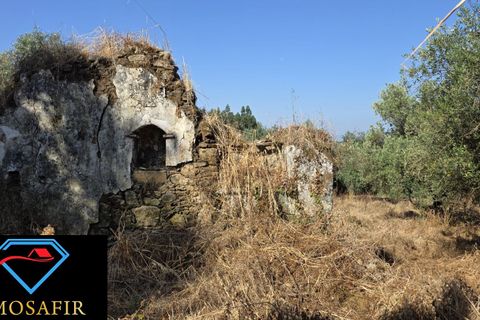 Villa i Tomar, Santarem, Tomar - € 30.000 | Ref: 00636 - foto 2