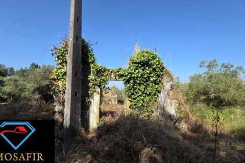 Villa i Tomar, Santarem, Tomar - € 30.000 | Ref: 00636 - foto 3