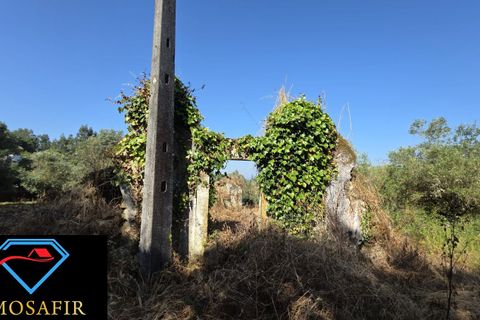 Villa i Tomar, Santarem, Tomar - € 30.000 | Ref: 00636 - foto 4