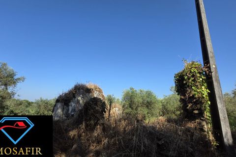 Villa i Tomar, Santarem, Tomar - € 30.000 | Ref: 00636 - foto 5