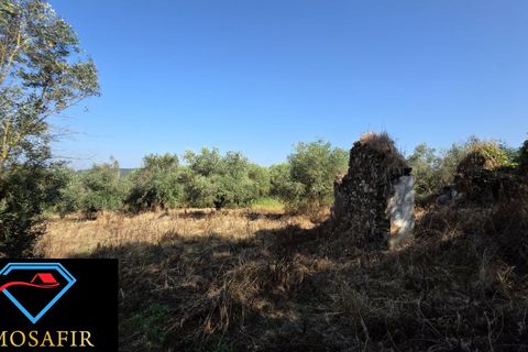 Villa i Tomar, Santarem, Tomar - € 30.000 | Ref: 00636 - foto 6
