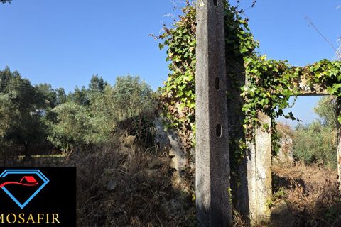 Villa i Tomar, Santarem, Tomar - € 30.000 | Ref: 00636 - foto 7