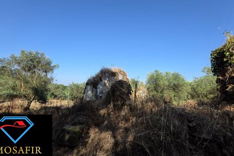 Villa i Tomar, Santarem, Tomar - € 30.000 | Ref: 00636 - foto 8