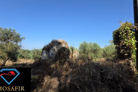 Villa i Tomar, Santarem, Tomar - € 30.000 | Ref: 00636 - foto 9