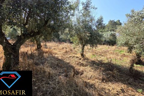 Villa i Tomar, Santarem, Tomar - € 30.000 | Ref: 00636 - foto 10
