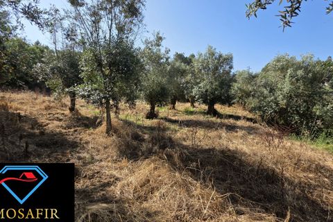 Villa i Tomar, Santarem, Tomar - € 30.000 | Ref: 00636 - foto 11