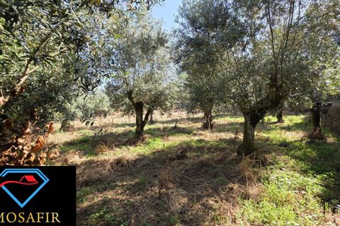 Villa i Tomar, Santarem, Tomar - € 30.000 | Ref: 00636 - foto 14