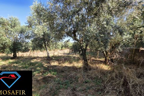 Villa i Tomar, Santarem, Tomar - € 30.000 | Ref: 00636 - foto 17