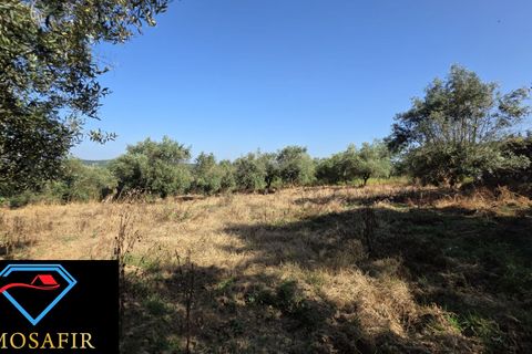 Villa i Tomar, Santarem, Tomar - € 30.000 | Ref: 00636 - foto 22