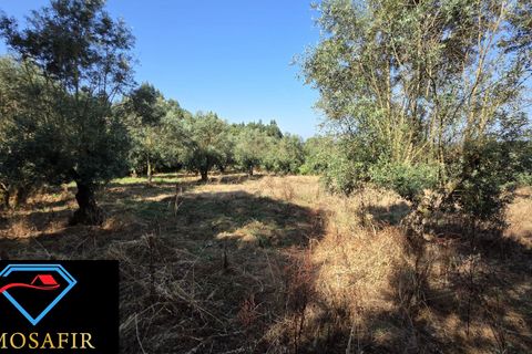 Villa i Tomar, Santarem, Tomar - € 30.000 | Ref: 00636 - foto 23
