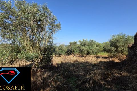 Villa i Tomar, Santarem, Tomar - € 30.000 | Ref: 00636 - foto 24