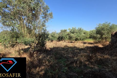 Villa i Tomar, Santarem, Tomar - € 30.000 | Ref: 00636 - foto 25