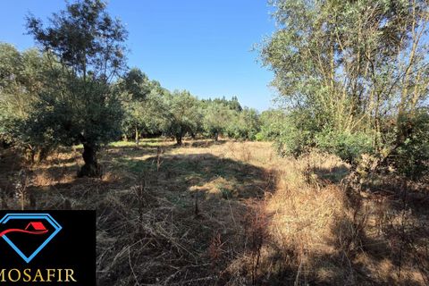 Villa i Tomar, Santarem, Tomar - € 30.000 | Ref: 00636 - foto 26