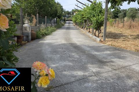 Villa i Tomar, Santarem, Tomar - € 250.000 | Ref: 00637 - foto 4