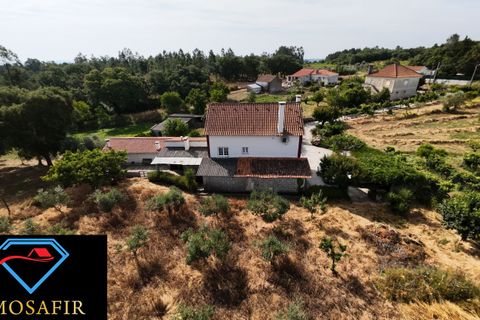 Villa i Tomar, Santarem, Tomar - € 250.000 | Ref: 00637 - foto 7