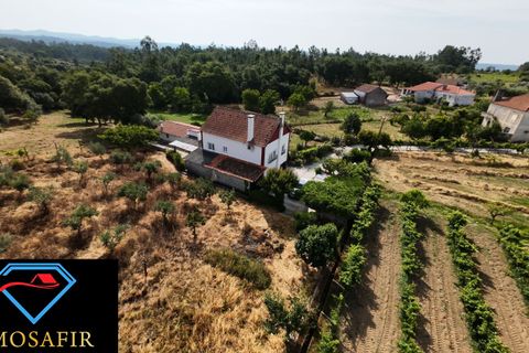 Villa i Tomar, Santarem, Tomar - € 250.000 | Ref: 00637 - foto 8