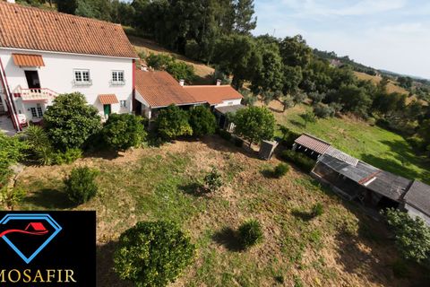 Villa i Tomar, Santarem, Tomar - € 250.000 | Ref: 00637 - foto 9