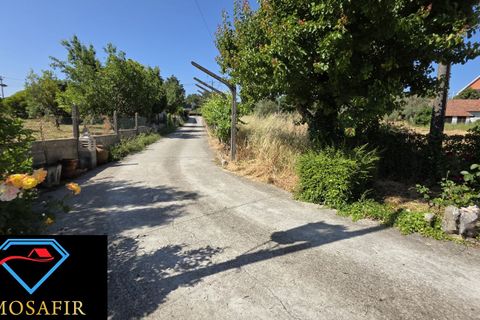 Villa i Tomar, Santarem, Tomar - € 250.000 | Ref: 00637 - foto 17