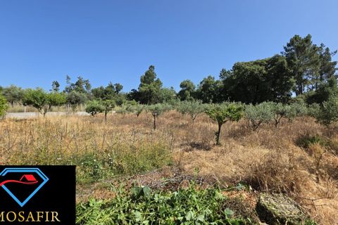 Villa i Tomar, Santarem, Tomar - € 250.000 | Ref: 00637 - foto 19