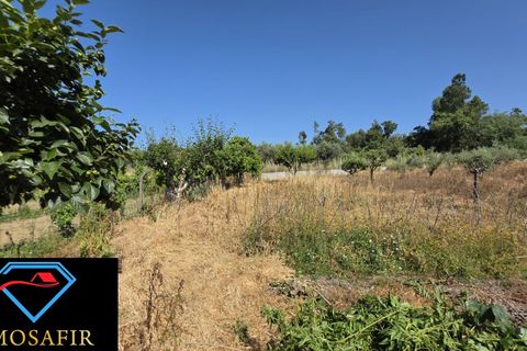 Villa i Tomar, Santarem, Tomar - € 250.000 | Ref: 00637 - foto 20