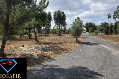 Villa i Abrantes, Santarem, Abrantes - € 500.000 | Ref: 00638 - foto 49
