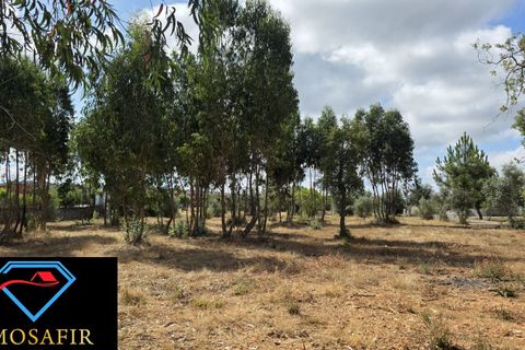 Villa i Abrantes, Santarem, Abrantes - € 500.000 | Ref: 00638 - foto 50