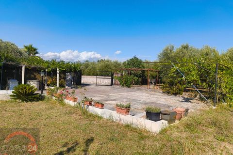 Villa a Latina, Latina, Latina - € 160.000 | Ref: 3117 - foto 2