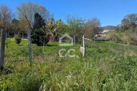 Helårsgrund i Serzedelo, Braga, Serzedelo - € 59.500 | Ref: 261/T/03950 - foto 2